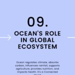 Ocean's Role In Gobal Ecosystem