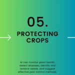 Protecting Crops